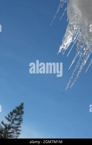 Ickle Eiszapfen schmelzen tropfend Tropfen Winterschnee Stockfoto
