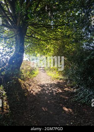 Blick auf einen Landweg in Cofton Hackett Stockfoto