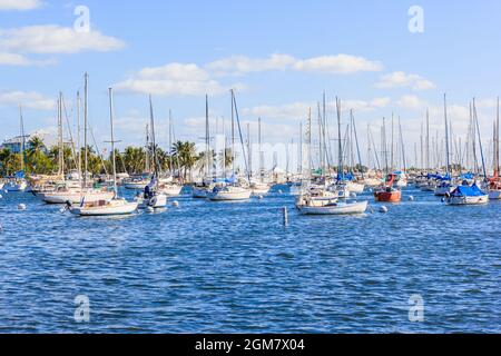 Coconut Grove Marina im Süden von miami florida im blauen Himmel Hintergrund Stockfoto