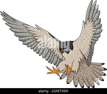 Falcon fliegende Cartoon Vektorgrafik Stock Vektor