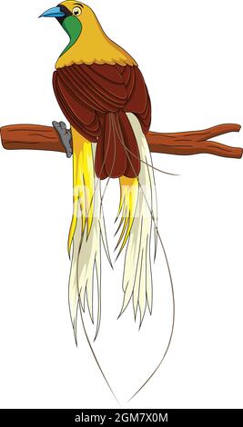 Niedliche Vögel des Paradieses Cartoon-Vektor-Illustration Stock Vektor
