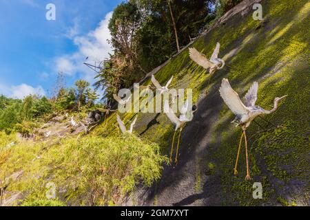 GENTING HIGHLANDS, MALAYSIA - 16. APRIL 2017: Japanische Flamingo-Statue im Tempel der Chin Swee Caves Genting Highlands, Malaysia Stockfoto