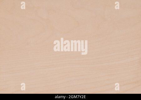 Textur aus Furnier aus Sycamore-Holz Stockfoto