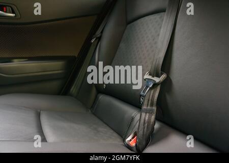 Moderner Innenraum - Rücksitze mit Sicherheitsgurten (flacher Freiheitsgrad - selektiver Fokus; farblich getöntes Bild) Stockfoto