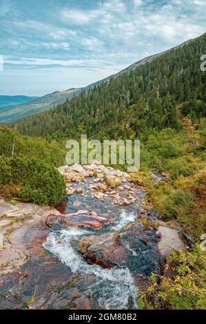 Lomiczka Wasserfall im polnischen Teil der Karkonosze Moutains, in der Nähe von Sniezka. Gebirgsfluss im Nationalpark Karkonosze, Polen. Stockfoto