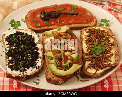 Essbare Insekten und Arachniden. Oben: Schwarzer Skorpion mit gebratener Tomate und Basilikum. Unten, von links nach rechts: Schwarze Ameisen mit Käse und Schnittlauch, Seidenraupe Stockfoto