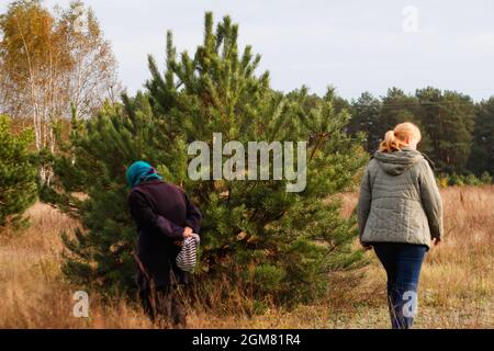 Unschärfe-Rückansicht von zwei Frauen, die im Pinienwald spazieren. Pilzsammlungssaison, Freizeit- und Menschenkonzept, Mutter und Tochter gehen im Herbst vor Stockfoto