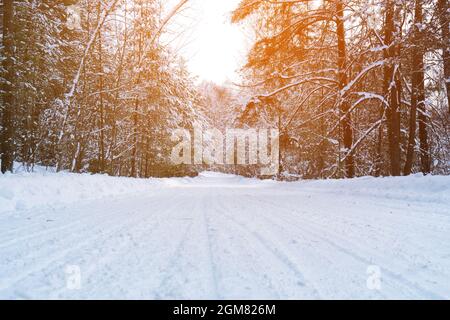 Im Winter schneebedeckte Straße durch den Nadelwald Stockfoto