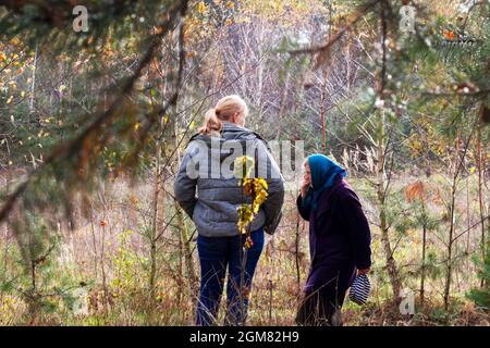 Unschärfe-Rückansicht von zwei Frauen, die im Pinienwald spazieren. Pilzsammlungssaison, Freizeit- und Menschenkonzept, Mutter und Tochter gehen im Herbst vor Stockfoto