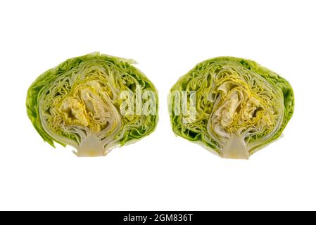 Frischer Eisbergsalat im Querschnitt isoliert auf weißem Hintergrund geschnitten Stockfoto