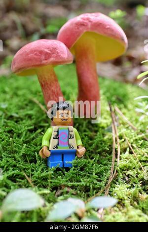 GREENVILLE, USA - 29. Aug 2021: Eine vertikale Nahaufnahme einer LEGO-Figur neben roten Wildpilzen in Greenville, USA Stockfoto