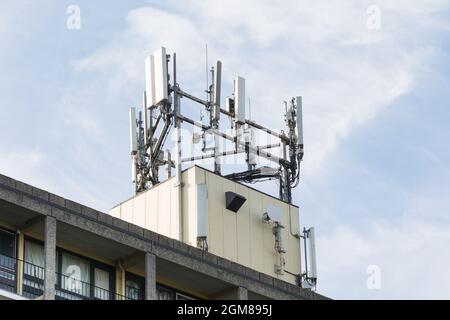 Handymast von Alton Estate, Roehampton, London, England, Großbritannien Stockfoto