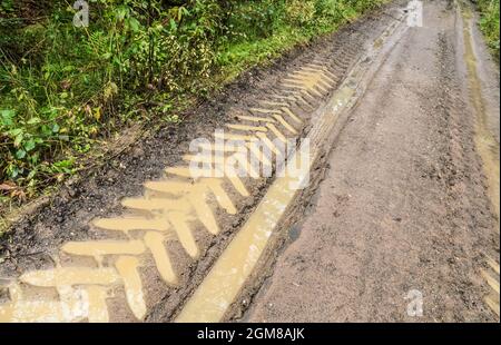 Reifenspuren oder Reifenspuren eines Traktors auf einem schlammigen und nassen Weg in einem Wald in Deutschland, Europa Stockfoto