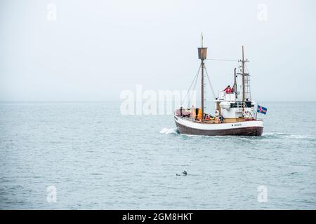 Skjálfandi Bucht in Island Stockfoto