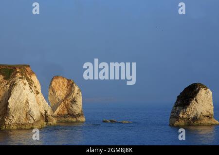 Felsen ragen aus dem Meer in Freshwater Bay, Isle of Wight Stockfoto