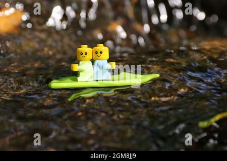 GREENVILLE, USA - 29. Aug 2021: Eine Aufnahme von zwei lego Figuren auf einer grünen Brandung in einer Flussumgebung in Greenville, USA Stockfoto