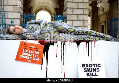 London, Großbritannien. September 2021. TOWIE-Star Chloe Ross posiert am zweiten Tag der London Fashion Week in Reptilienbody Paint vor dem Somerset House als Teil einer PETA-Kampagne, um auf die Verwendung exotischer Häute in der Modeindustrie aufmerksam zu machen.Quelle: Phil Robinson/Alamy Live News Stockfoto