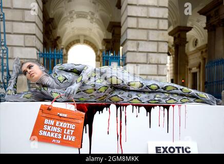 London, Großbritannien. September 2021. TOWIE-Star Chloe Ross posiert am zweiten Tag der London Fashion Week in Reptilienbody Paint vor dem Somerset House als Teil einer PETA-Kampagne, um auf die Verwendung exotischer Häute in der Modeindustrie aufmerksam zu machen.Quelle: Phil Robinson/Alamy Live News Stockfoto
