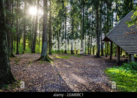 Holzhütte mit Picknick im Wald Stockfoto