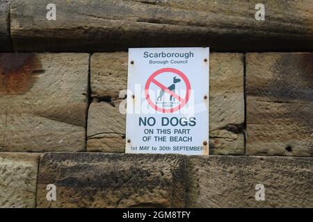 Whitby - Scarborough Borough Council, „No Dogs on this part of the Beach“-Ordnungszeichen. Stockfoto