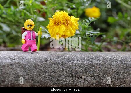 GREENVILLE, USA - 29. Aug 2021: Nahaufnahme einer weiblichen lego Figur in der Nähe von gelben Blumen auf einem Stein in Greenville, USA Stockfoto