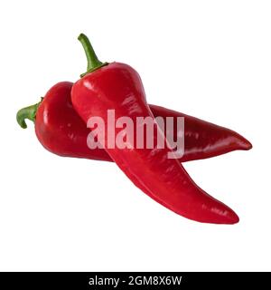 Zwei rote Chilischoten auf weißem Hintergrund isoliert, lange Paprika, frisches Gemüse, Seitenansicht Stockfoto