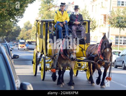 14. September 2021, Sachsen, Leipzig: Kutscher Siegfried Händler fährt seine historische Postkutsche, mit Prof. Frank Roch (r), der einen speziell für die Reise zugeschnittenen Frack auf dem daneben sitzenden Kutschersitz hatte. Die gelbe Kutsche, eine Replik aus dem Jahr 1830, wird von den kaltblütigen Pferden Evi (l) und Frau Krause gezogen und bietet Platz für neun Gäste. Das ungewöhnliche Angebot gehört der Busgesellschaft Händler in Bad Düben und soll geduldigen Reisenden einen Vorgeschmack auf das Reisen geben, wie es zu Napoleons Zeit über vier Tage war. Foto: Waltraud Grubitzsch/dpa-Zentralbild/ZB Stockfoto