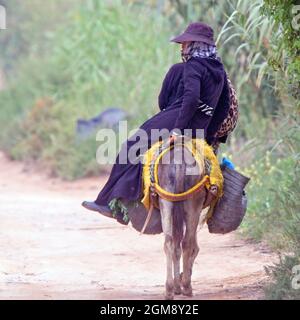 Auf dem Heimweg reitet eine Bäuerin auf einem Esel in der Nähe von Agadir, Marokko. Stockfoto