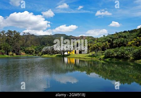 BRUMADINO, MINAS GERAIS, BRASILIEN - 17. JANUAR 2018: Teilansicht des Sees im Instituto Inhotim (Inhotim-Institut) Stockfoto