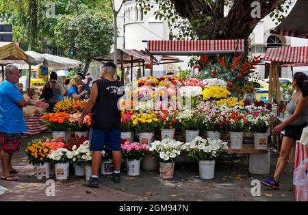 RIO DE JANEIRO, BRASILIEN - 20. DEZEMBER 2019: Blumenverkäufer auf dem Marktplatz in der Nähe von Ipanema Stockfoto