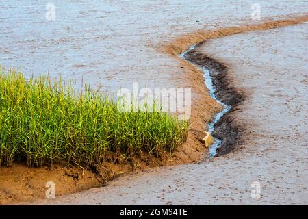 Tiefe Schluchten im Schlamm bei Low Tide am River Medway bei Rochester in Kent Stockfoto