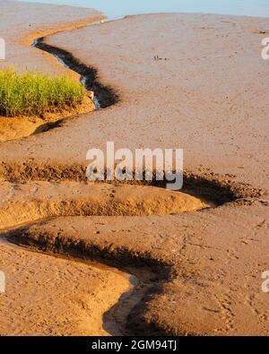 Tiefe Schluchten im Schlamm bei Low Tide am River Medway bei Rochester in Kent Stockfoto