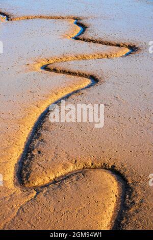 Tiefe Schluchten im Schlamm bei Low Tide am River Medway bei Rochester in Kent Stockfoto