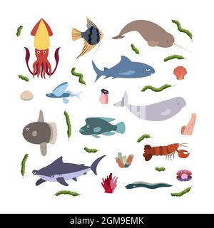 Design-Vorlage mit Meerestier im Quadrat für Kinder drucken. Rechteckige Zusammensetzung von Meerestieren, Tintenfisch, Hai und Hai, Beluga und Hummer, Narwal. Vektor-Set von Unterwasserleben Stock Vektor
