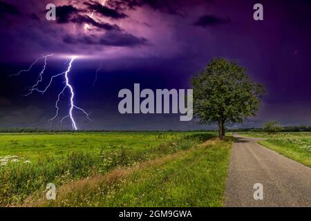 Helle Blitzschläge von schweren Gewittern erhellen die flache holländische Nachtlandschaft in der Provinz Drenthe entlang der Rolder Diep mit einem einsamen Baum Stockfoto