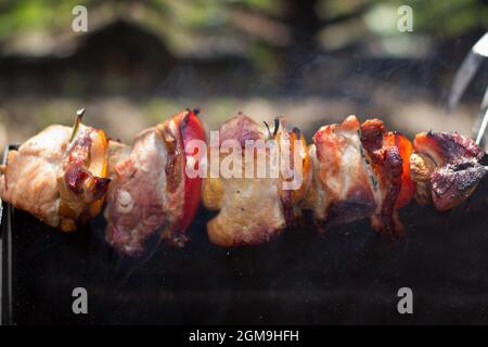 Im Freien einfacher Grill - Shish und Kebab Stockfoto