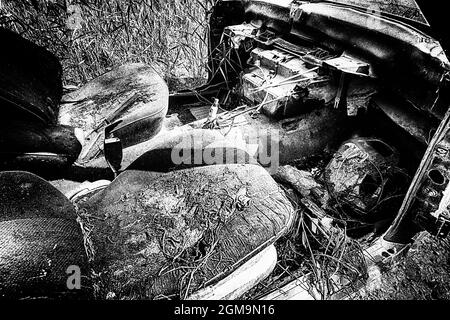 Schwarz-Weiß-Konzept ein hässliches Interieur eines Autos in trockenem Gras und Zweigen, die nach einem Unfall in die Umwelt geworfen wurden Stockfoto