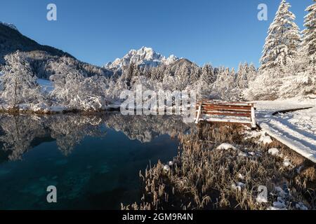 Kalter Wintermorgen am Zelenci-See in Kranjska Gora, Slowenien. Stockfoto