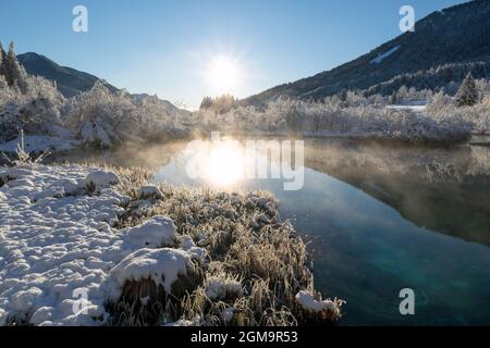 Kalter Wintermorgen am Zelenci-See in Kranjska Gora, Slowenien. Stockfoto