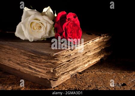 Frische Rosen liegen auf einem verwitterten alten mittelalterlichen Buch Stockfoto