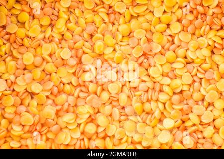 Arhar und Makla dal im Wasser, Hintergrund, Nahaufnahme Stockfoto