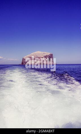 Bass Rock Island im Firth of Forth Sea Stockfoto