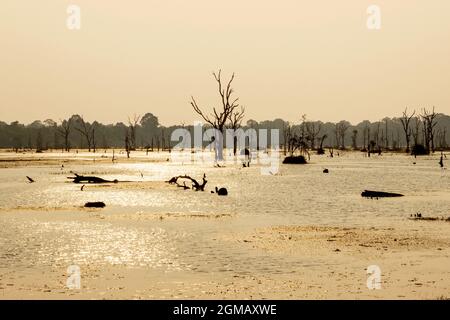 Landschaft des Neak Pean Sees bei Sonnenuntergang in Angkor, Kambodscha Stockfoto