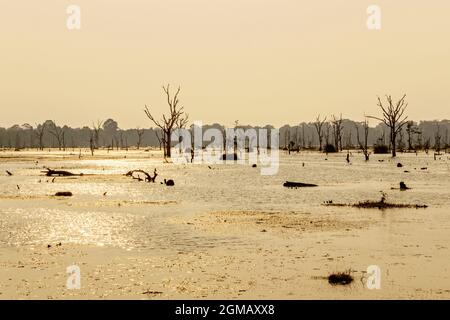 Landschaft des Neak Pean Sees bei Sonnenuntergang in Angkor, Kambodscha Stockfoto