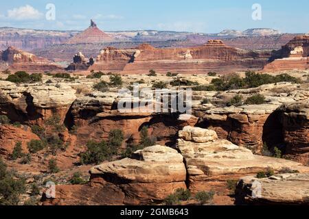 Nahezu horizontale Permian Cedar Mesa Sandstein und darüber liegende Trias-Jurassic Strata, Canyonlands National Park, SE Utah. North Six-Shooter Peka punctu Stockfoto