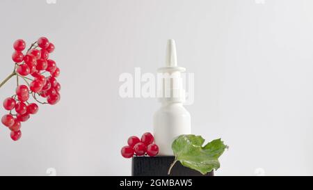 Rowan-Medizin auf einem weißen Hintergrund, ein Zweig aus roten Vogelbeeren mit einem Glas Medizin. Stockfoto