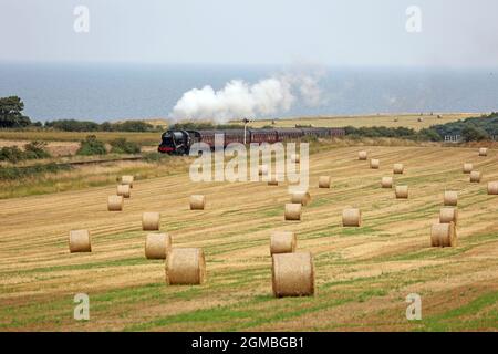 Sheringham, Großbritannien. September 2021. Der Dampfzug Royal Norfolk Regiment 90775 fährt am 16. September mit der North Norfolk Railway in der Nähe von Sheringham, Norfolk, Großbritannien, nach holt. 2021, vor dem Wochenende der 1940er Jahre. Kredit: Paul Marriott/Alamy Live Nachrichten Stockfoto