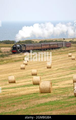 Sheringham, Großbritannien. September 2021. Der Dampfzug Royal Norfolk Regiment 90775 fährt am 16. September mit der North Norfolk Railway in der Nähe von Sheringham, Norfolk, Großbritannien, nach holt. 2021, vor dem Wochenende der 1940er Jahre. Kredit: Paul Marriott/Alamy Live Nachrichten Stockfoto