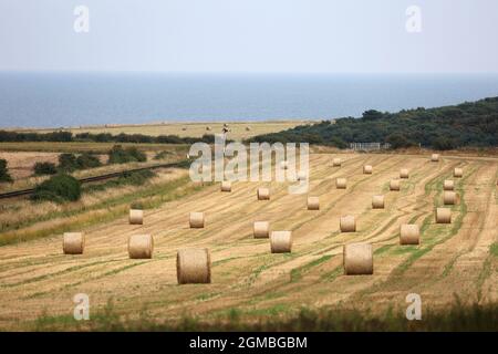 Sheringham, Großbritannien. September 2021. Heuballen, in der Nähe von Sheringham, Norfolk, Großbritannien, am 16. September, 2021, vor dem Wochenende der 1940er Jahre. Kredit: Paul Marriott/Alamy Live Nachrichten Stockfoto