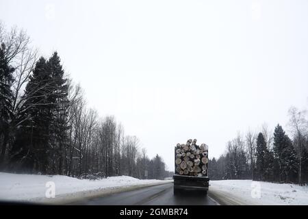 Ein LKW transportiert Holzstämme im Rücken. Holzstapler Stockfoto